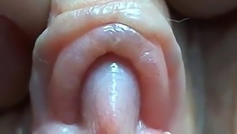 Nektiyaaslam'S Big Clit And Labia Closeup