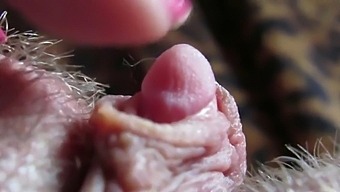 Intense Close-Up Of My Swollen Clitoris Head Throbbing